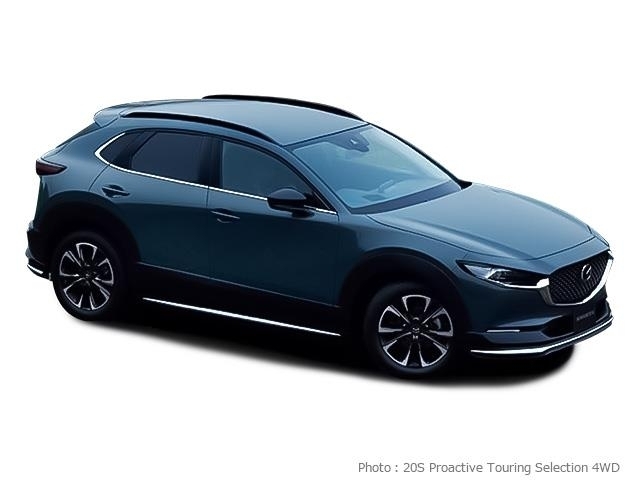 CX-3020S i ｾﾚｸｼｮﾝ